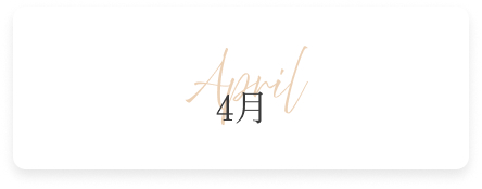 4月の新作コレクション