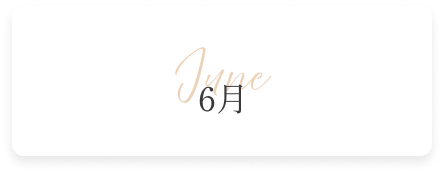 6月の新作コレクション