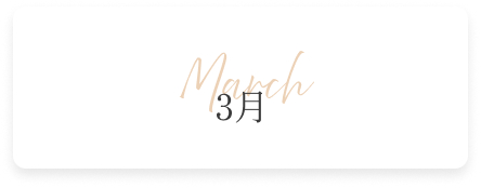 3月の新作コレクション
