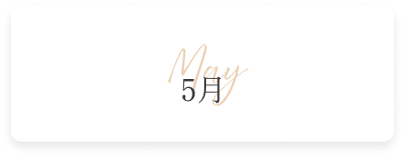 5月の新作コレクション