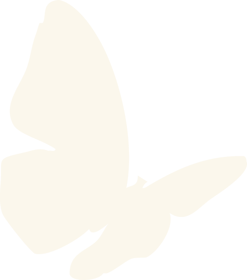 ベージュのちょうちょ