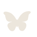 グレーのちょうちょ