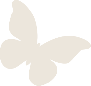 グレーのちょうちょ