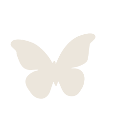 グレーのちょうちょ