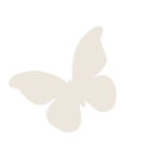 グレーのちょうちょ