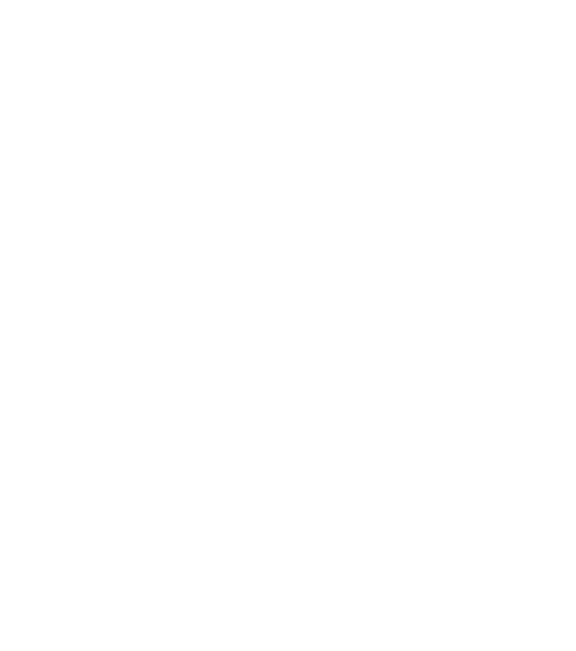 白のちょうちょ