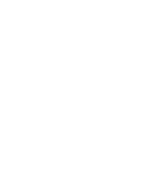 白のちょうちょ